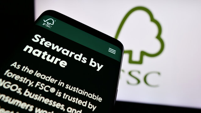 Stuttgart, Germany - 06-26-2024: Mobile phone with website of organisation Forest Stewardship Council GmbH (FSC) in front of logo. Focus on top-left of phone display.