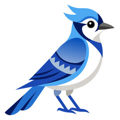  Blue Jay Vector Illustration Captivating Nature in Art