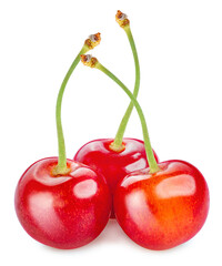 Red Cherry fruit on white background, Japanese Red highest variety of cherries isolate on white with clipping path.