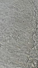 Defocused liquid clear water surface texture with splashes bubbles with copy space. Water waves in sunlight background.	
Trendy summer nature banner. 