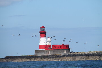 A Flight of Seabirds Flying Past a Coastal Lighthouse.