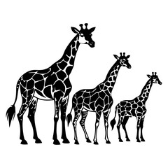 Fototapeta premium Giraffe vector illustration, Giraffe silhouette, Giraffe vector art