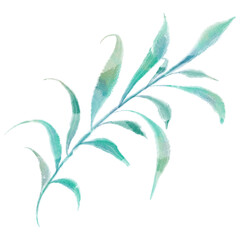 Illustration of green leaves in watercolor