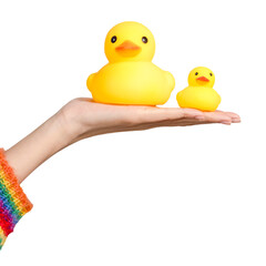 Cute rubber ducks on a hand design element