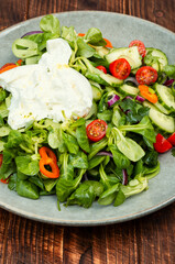 Salad of vegetables and milk Burrata cheese.