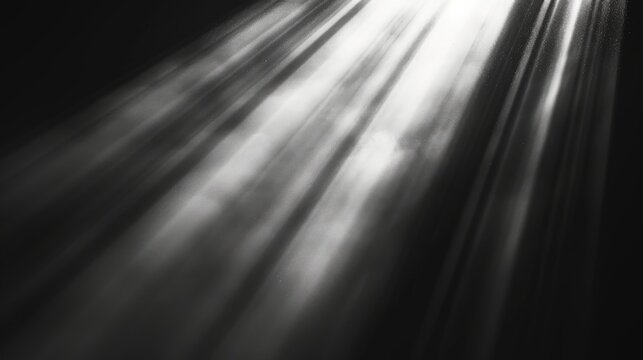 Lens flare sunlight light effect.