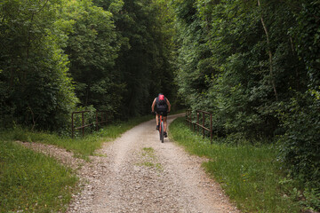 Cyclist on forest path