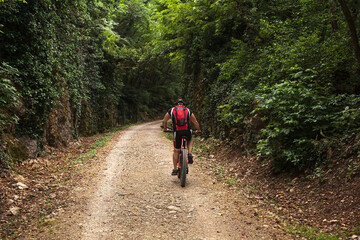 Cyclist on forest path