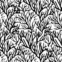 Fototapeta premium style