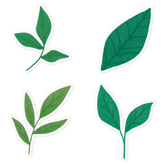 Green leaves sticker collection transparent png