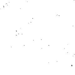 floral seamless pattern, pattern, flower pattern, geometric pattern, diagonal pattern, floral, flower, seamless, design, ornament, vector, decoration, art, wallpaper, leaf, illustration, black, style,