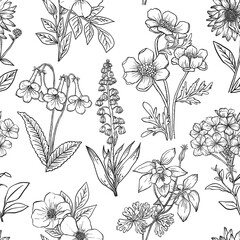 Png floral seamless pattern, hand drawn collage element, transparent background