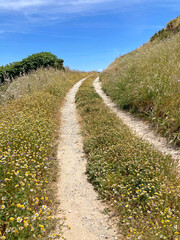 sendero camino entre flores pueblo medieval navarra gallipienzo pamplona IMG_6872-as24