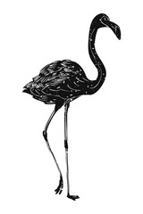 Png vintage flamingo animal illustration, transparent background