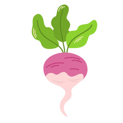 Pink radish tuber with tops. Fresh raw vegetable with leaves. Root veggie icon. Flat vector illustration of organic natural food isolated on white background