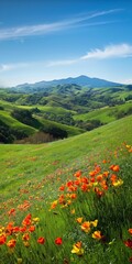 Fototapeta premium A beautiful, lush green field with a mountain in the background. The field is filled with a variety of flowers, including many orange and yellow ones. The scene is serene and peaceful