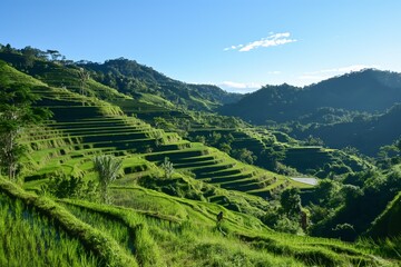 Fototapeta premium A lush green hillside with a view of the mountains. The hillside is covered in green grass and the sky is clear and blue