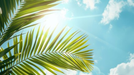 Fototapeta premium Tropical palm leaf against blue sky with clouds ideal for travel and relaxation