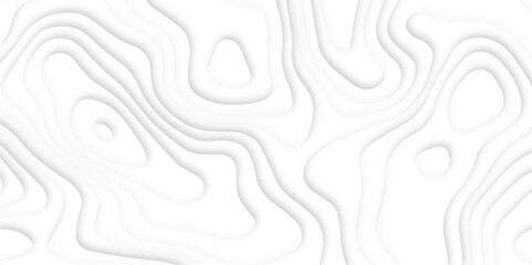 Fototapeta premium Abstract paper carve template. abstract white and gray 3d papercut topography relief vector background illustration. topographic canyon geometric map relief texture with curved layers and shadow.