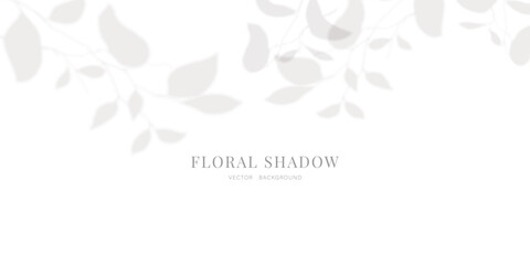 Obraz premium Flower and leaf Overlay effect. Gray shadow of leaves on a white wall.