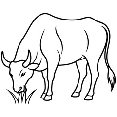 illustration of a cow