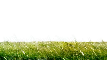 PNG Green field collage element, transparent background