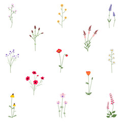 Png wildflower diary sticker floral illustration set