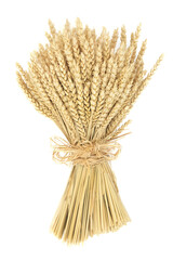 Wheat bundle decorative sheath tied with raffia bow on white background. Agricultural organic...