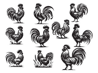 Rooster silhouette vector illustration style with white background © Md Mithu Mia