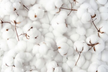 The white cotton texture is soft, fluffy wadding