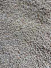 soya been seed background pattern