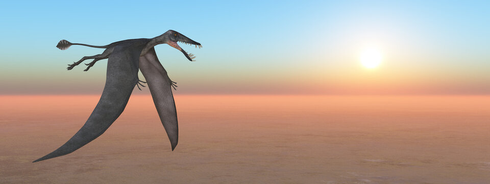 Flugsaurier Dorygnathus &uuml;ber einer Landschaft bei Sonnenuntergang