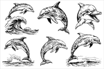 Naklejka premium Sketch set of dolphin on white background