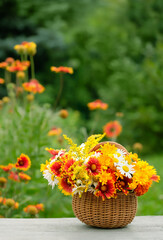 Summer background. bright colorful flowers in wicker basket on table in garden, abstract natural background. rustic still life with flowers. plants harvest.