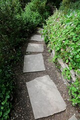 Stone garden pathway surrouned by greenery