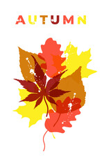 Template for poster, banner, cover on an autumn theme. Autumn leaves in flat style with a bold effect and splashes. White background. Isolated design. Inscription Autumn