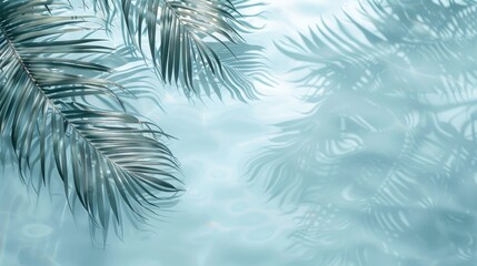 Tropical tranquility: palm leaves on a white fuzzy background