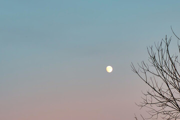 Evening photo and full moon in the sky.