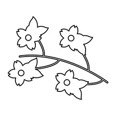 cherry blossom icon on a white background, vector illustration