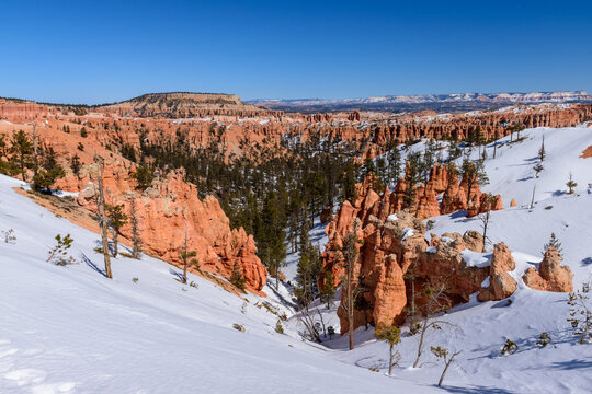 Majestic view of Bryce Canyon National Park covered in snow during the winter, featuring unique red rock hoodoo formations and evergreen trees under a clear blue sky in Utah, USA