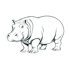 Hand Drawn Hippopotamus Vector Illustration