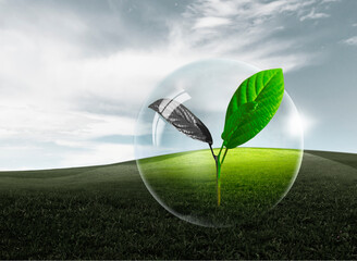 Milchkuh in den Östrreichischen Alpen