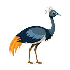 illustration of emu bird animal on white