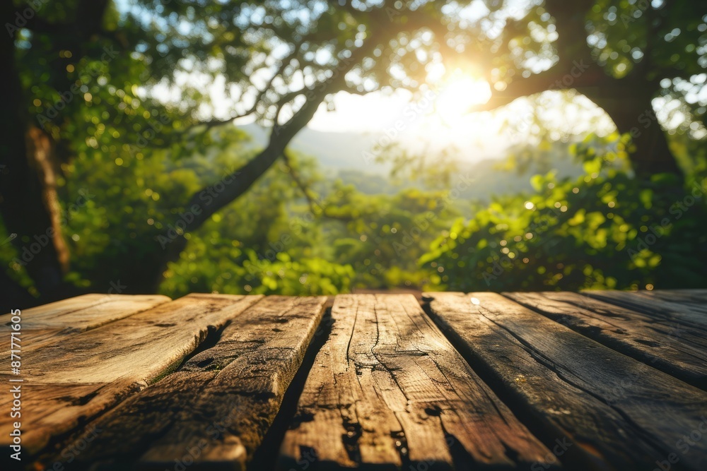Poster the picture of the wood table in the middle of the forest that surrounded with an uncountable amount