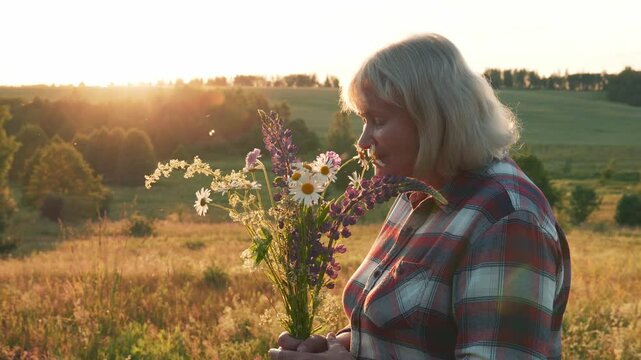 Mature woman smelling aroma delicate flowers gathered in summer meadow. Female with fresh blossom bouquet flowers in sunlight at sunset, enjoying flavor smell flower buds. Moment harmony and romance
