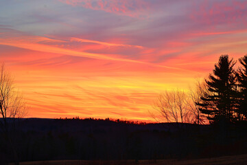 Obraz premium Sunset with vibrant colors over a field and silhouette of trees