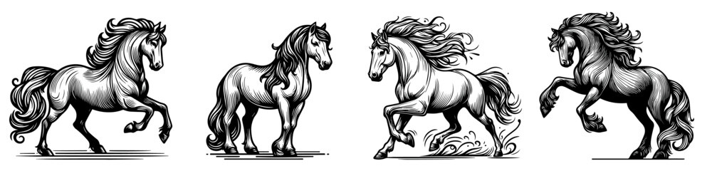 collection of line art horse silhouettes black and white vector