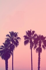 palm trees silhouetted against a pink sky. The style is serene and tropical, with a gradient of soft pink hues.