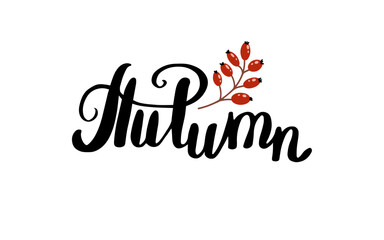 Hello, Autumn phrase vector design with a branch of a rose hip. Hand lettered phrase. Vector illustration