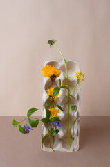 Sustainability concept egg carton with flowers on beige still life dandelions brown paper